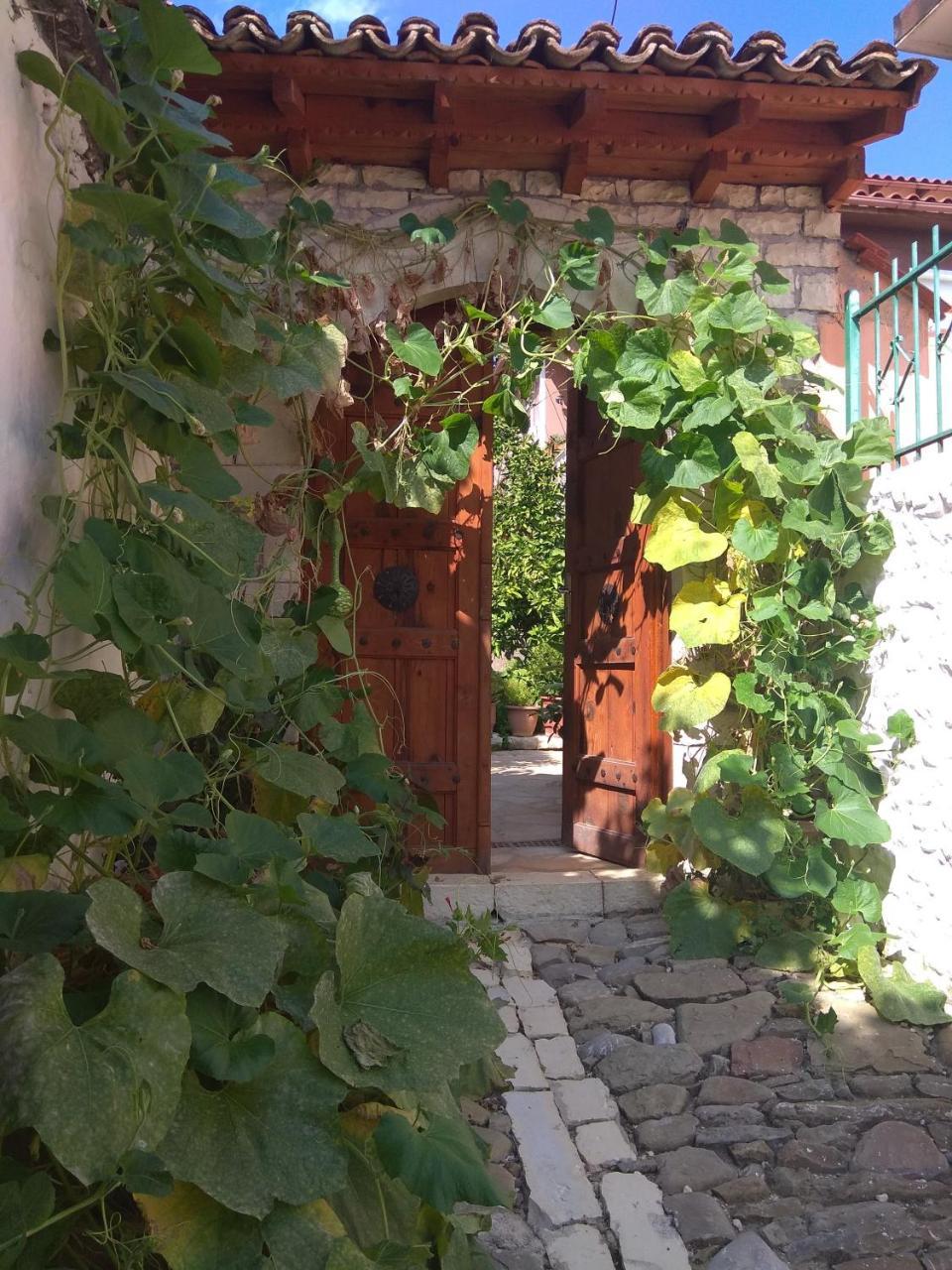 Guesthouse Hlias Gloria Berat Exteriör bild